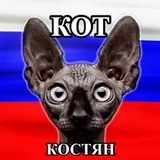 Аватар Кот Костян - официальный канал🇷🇺